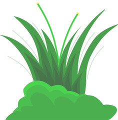 illustration of a green grass