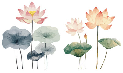 Obraz premium Minimalist Watercolor Lotus Plant Clipart for Graphic Design Resources