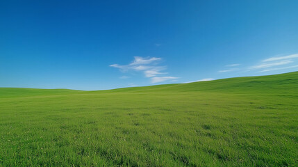 Obraz premium Wide Green Field Under Clear Blue Sky