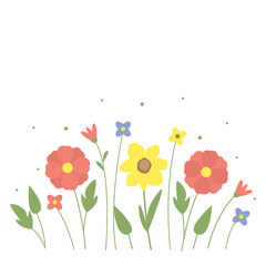 Obraz premium Spring flowers on a monochromatic background