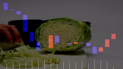 キャベツを切る、ローソク足とキャベツ、価格の高騰と下落、 - Powered by Adobe