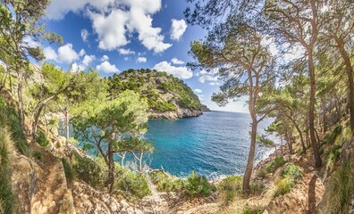 Fototapeta premium Secluded bay on Mallorca viewed from a coastal trail