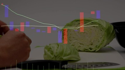 キャベツを切る、ローソク足とキャベツ、価格の高騰と下落、 - Powered by Adobe