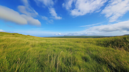 Obraz premium Wide Green Field Under Clear Blue Sky
