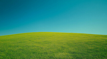 Fototapeta premium Wide Green Field Under Clear Blue Sky