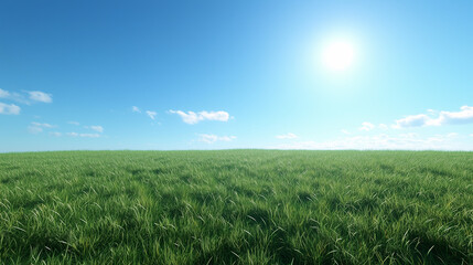 Naklejka premium Wide Green Field Under Clear Blue Sky
