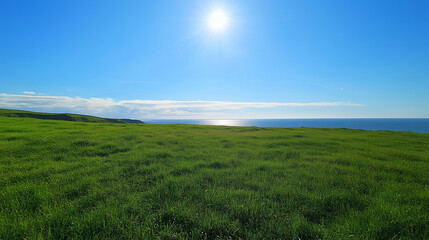 Wide Green Field Under Clear Blue Sky