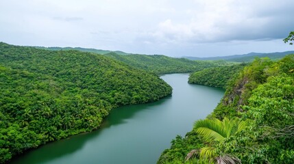 Serene Tropical River Landscape