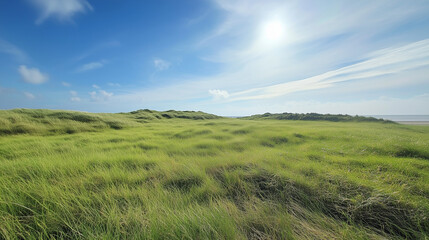 Obraz premium Wide Green Field Under Clear Blue Sky