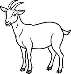 Obraz premium Beautiful animal goat line art vector artwork illustration