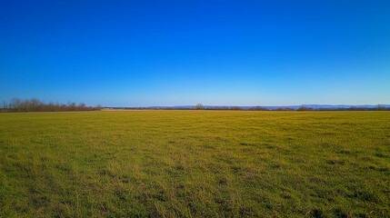 Fototapeta premium Wide Green Field Under Clear Blue Sky