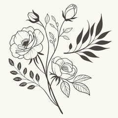 Elegant Hand-Drawn Floral Line Art Collection for Luxe Branding