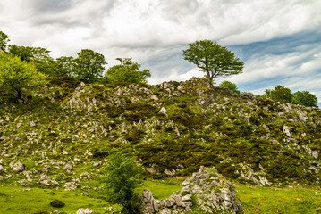Route to Covadonga, Lakes, Mountains, Cangas de Onis, Asturias, Picos de Europa, Spain