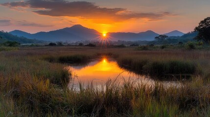 Sunset over wetland reflecting in calm water, mountains in background; nature scene for travel brochure