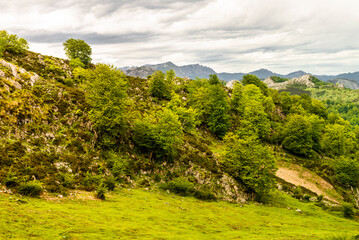 Obraz premium Route to Covadonga, Lakes, Mountains, Cangas de Onis, Asturias, Picos de Europa, Spain