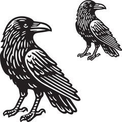 Crow vector