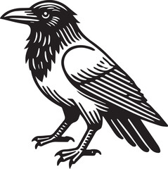 Crow vector in black and white