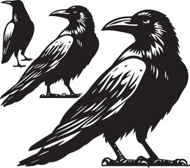 Crow vector in black and white