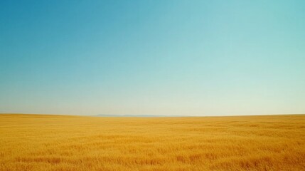 Fototapeta premium Blue Daytime Yellow Horizon Grassland Ecoregion Plain Field Agriculture Steppe
