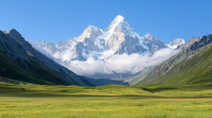 A grassy field with a mountain in the background