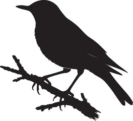 Obraz premium crow on a branch