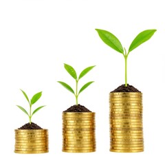 Stacks of golden coins of varying heights each topped with a small green sprouting plant isolated on white background