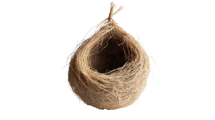 Coconut in a wicker basket surrounded by natural straw and grains in a bird nest setting