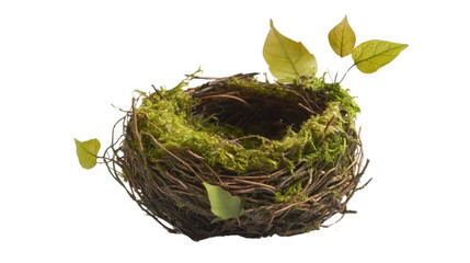 A bird's nest crafted from moss and leaves, with its textures standing out against a plain white backdrop.