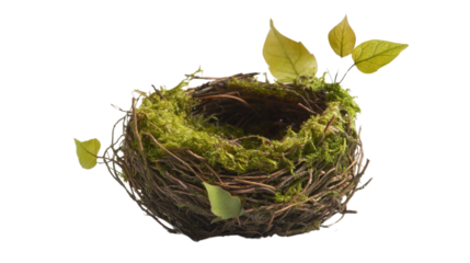 A bird's nest crafted from moss and leaves, with its textures standing out against a plain white backdrop.