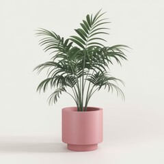 Obraz premium A lush green Parlor Palm in a stylish blush pink pot, adding a touch of indoor tropical elegance.