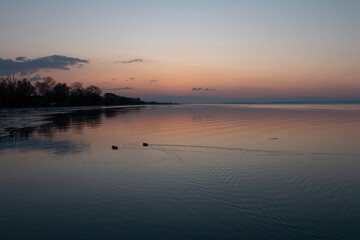 Winter lakeside sunset with ducks.