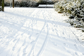 Snowy path in the park with footprints and ruts from bicycles or sleds. On the sides of the path there are bushes covered with snow, and in the distance a bench is visible.