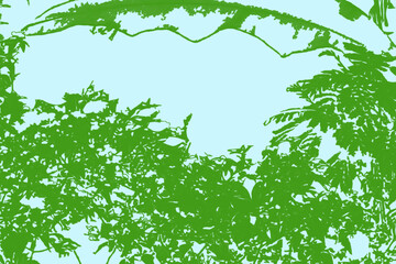 Fototapeta premium silhouette of trees and vines against blue sky background