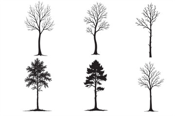 Obraz premium 36 Eucalyptus Tree Silhouette Bundle