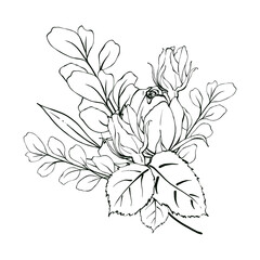 Fototapeta premium Elegant bouquet of Rosesin realistic style.Hand drawn illustration in Line Art. Floral Design in black and white for wedding invitation, logo, label, print, poster. Isolated