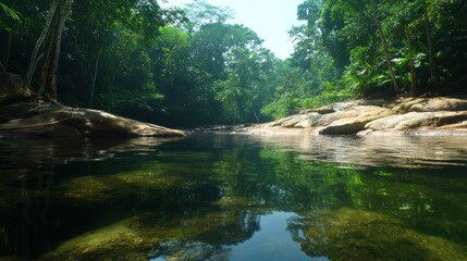 Obraz premium Tranquil River in Lush Forest