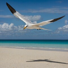 Fototapeta premium A white-tailed tropicbird soaring over a remote, pristine beach.