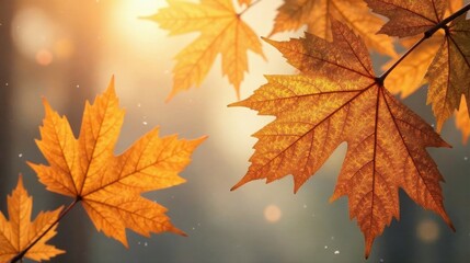 Golden Autumn Leaves Illuminated by Sunlight A Close-Up View of Nature's Beauty