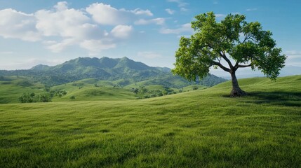 Obraz premium Solitary Tree on Green Hill