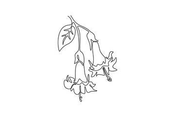 Obraz premium Single continuous line drawing beauty fresh brugmansia for wall decor home art poster print. Decorative angel trumpet flower for greeting card frame. One line draw graphic design vector illustration