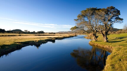 Obraz premium Tranquil River Landscape