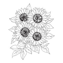 Fototapeta premium Artistic Common Sunflower Clipart for Greeting Cards 