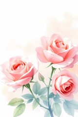 Watercolor delicate pink roses in the gentle sunshine