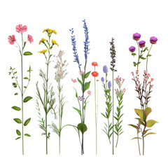Vibrant wildflowers in a colorful abstract garden, © xadartstudio