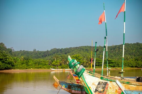 docked boats