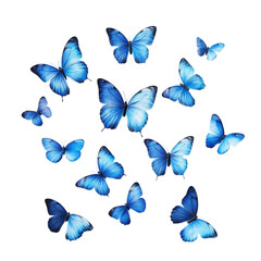 Blue Butterflies Abstract Art Colorful Wings Flight Nature Beauty