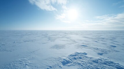 Obraz premium Expansive tundra with snow-covered ground, large copyspace above 
