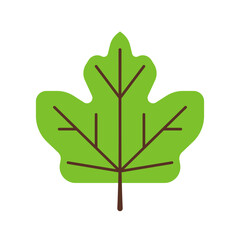 Summer leaf illustration in simple style