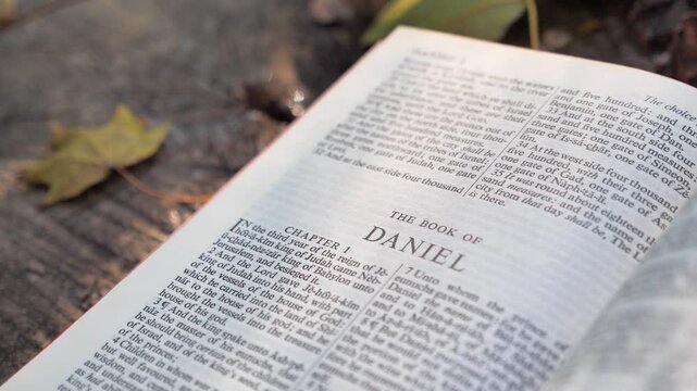 The book of Daniel, chapter of Holy Bible book