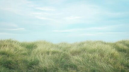 Minimalist grassland under a pale blue sky, large empty space for text